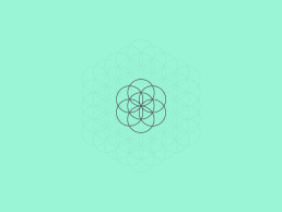 7_ppt