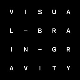 visual brain gravity