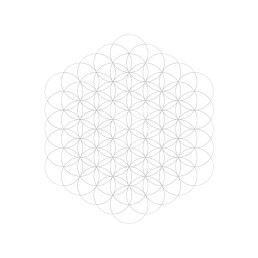 Wyze London