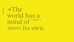 Yellow background with large text 