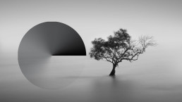 Minimalist black and white composition featuring a large dark circle and solitary tree reflected in still water, creating ser