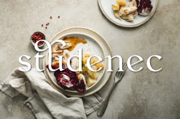 studenec_logo_4
