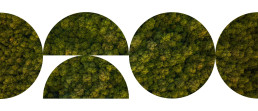 Logo design for tvin featuring overlapping circular shapes filled with aerial forest canopy texture in green and yellow tones