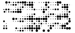 Abstract dot pattern visualization in black circles of varying sizes arranged in a gravity-like formation for tvin project