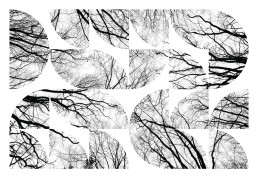 Logo design for tvin featuring white lettering filled with black and white bare tree branch photography creating an organic,
