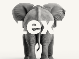 Lexi logo mockup in white letters overlaid on grayscale elephant photograph, minimalist typography design