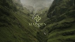 Madden Medical logo with stylized four-leaf clover symbol in pale green, overlaid on misty green mountain valley landscape wi